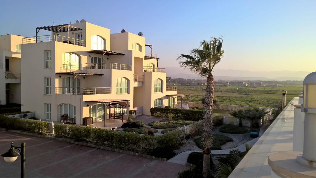 Aphrodite Beachfront Penthouse Apartment Газиверан Экстерьер фото